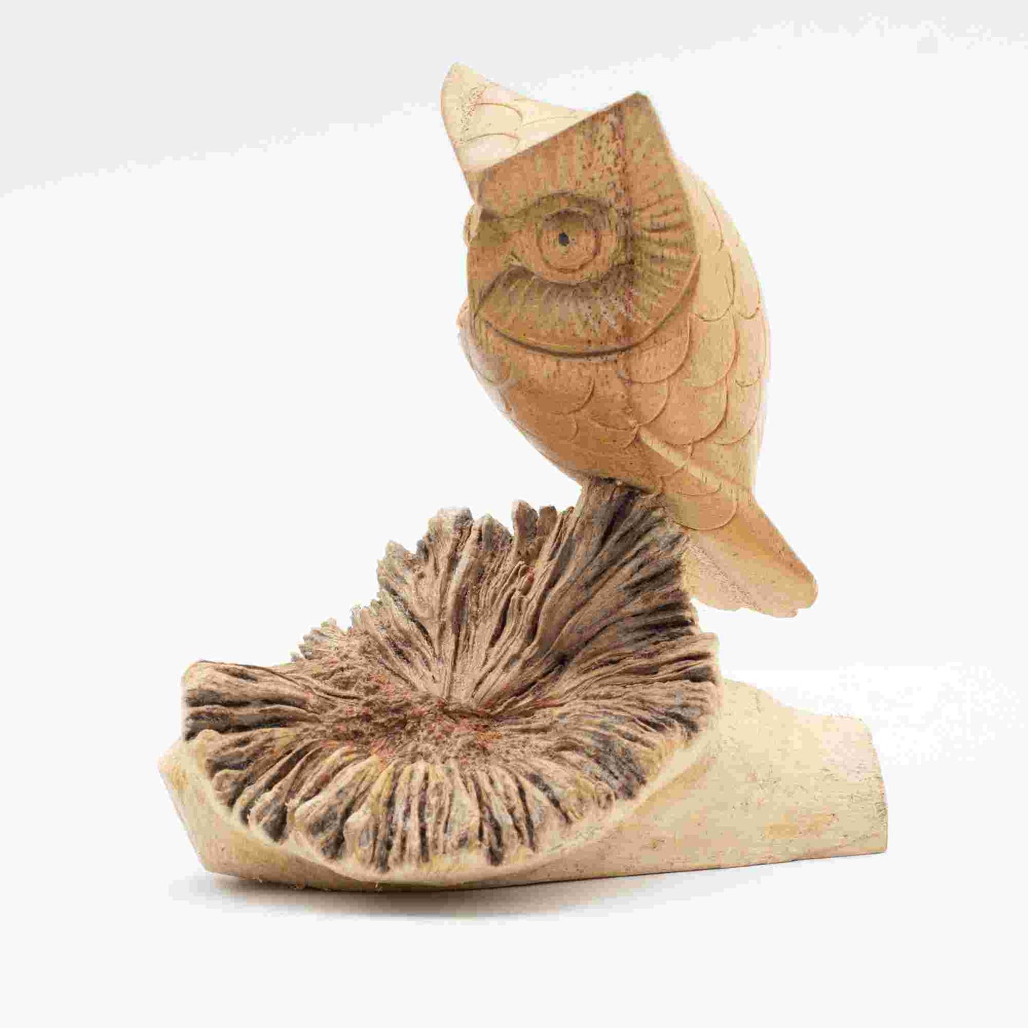 Handmade Parasite Wood Art Carving Owl Watching on a white background