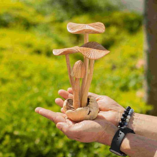 Handmade Parasite Wood Art Carving Set of 4 Large Mushrooms held in a hand with a blurred green outdoor background
