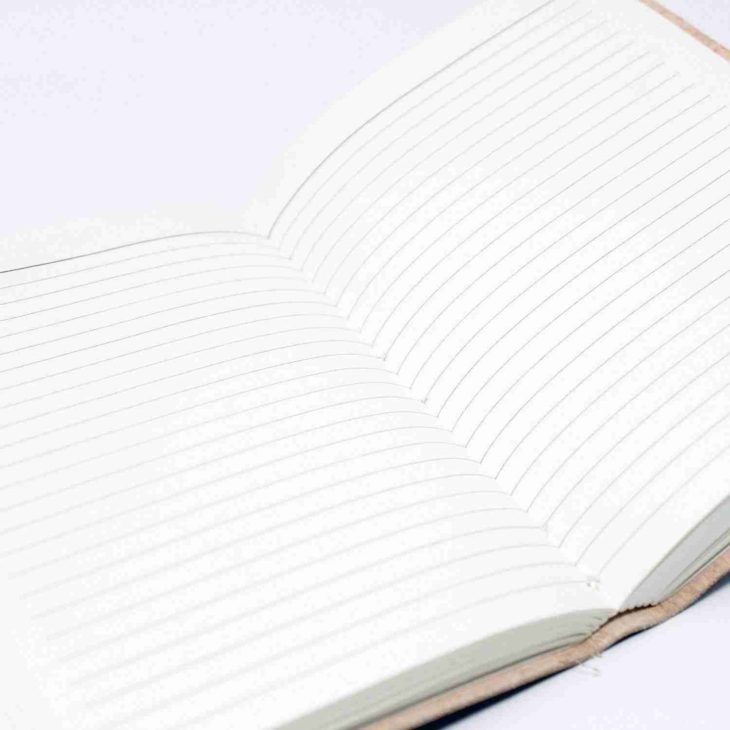 Close-up of a notebook with lined pages on a white background