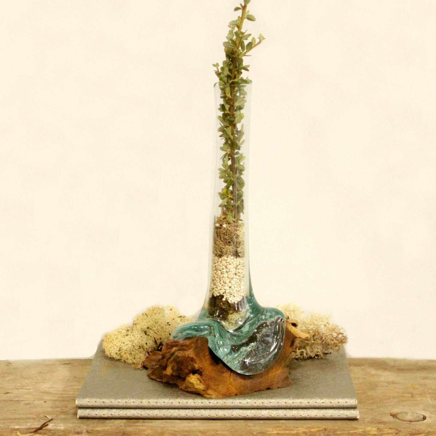 Molten Glass on Wood - Hand Crafted Vase