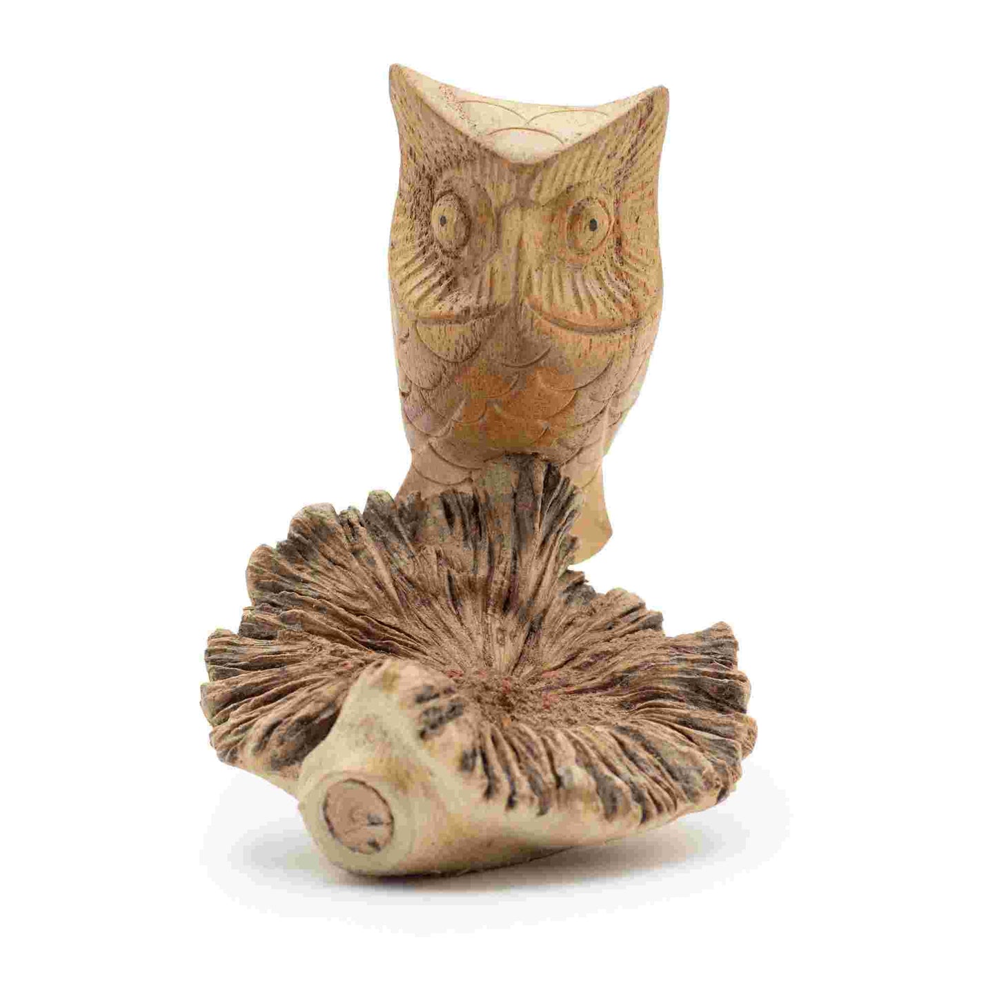 Handmade Parasite Wood Art Carving - Owl Watching on a white background
