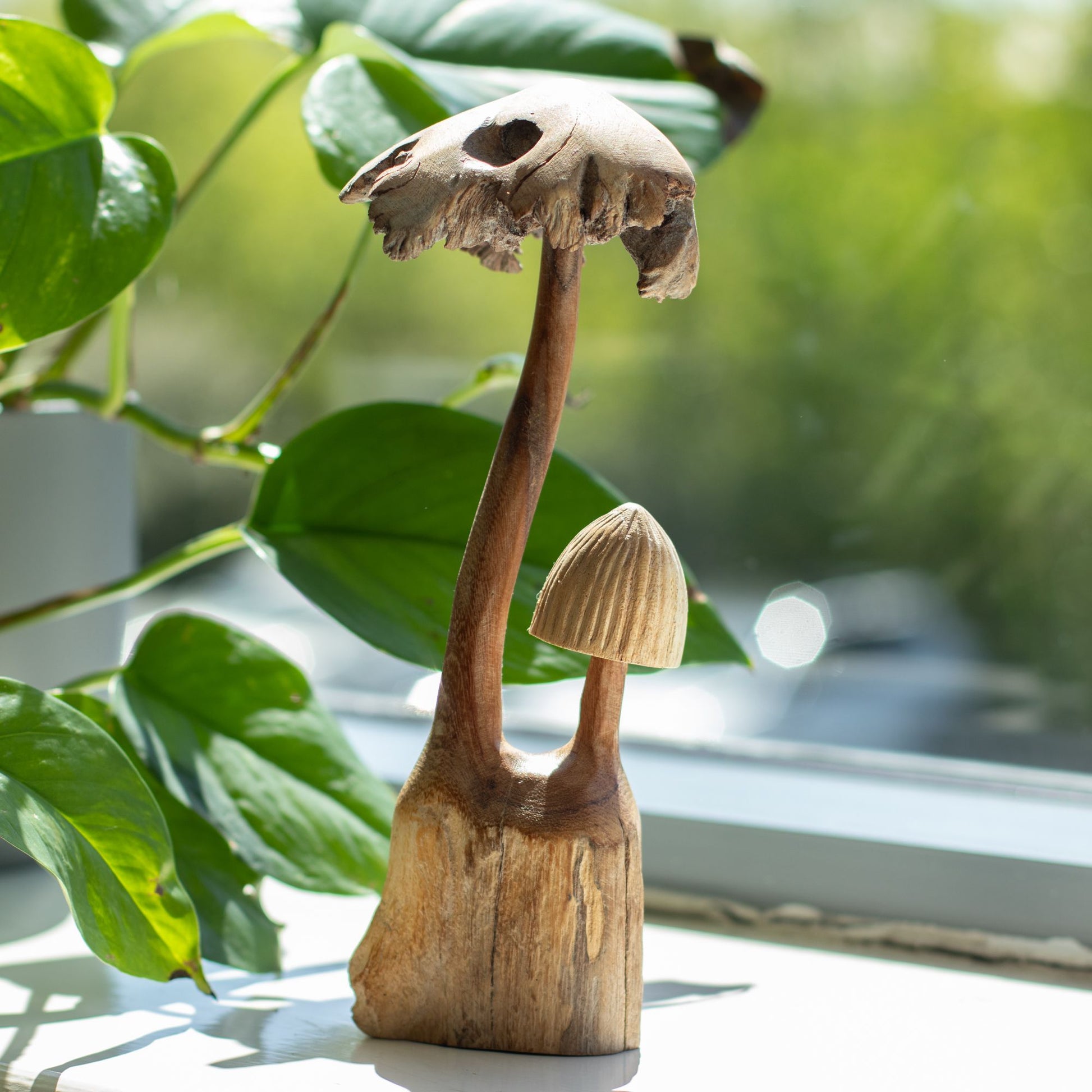 Handmade Parasite Wood Art Carving Set of Two Mushrooms with a blurred green plant and window background