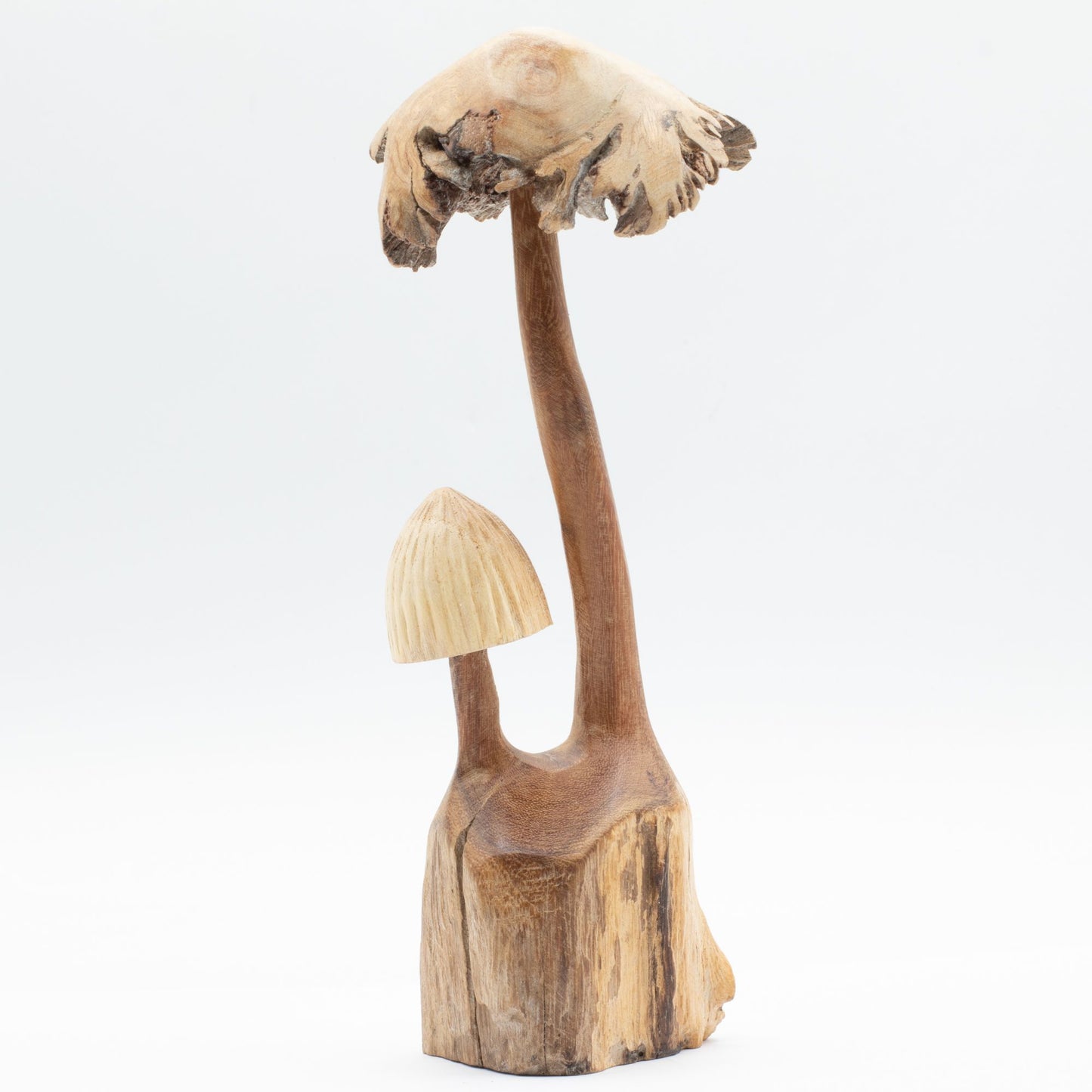 Handmade Parasite Wood Art Carving Set of Two Mushrooms on a white background