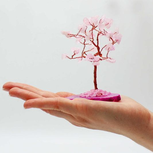 Small pink tree on a hand with a white background