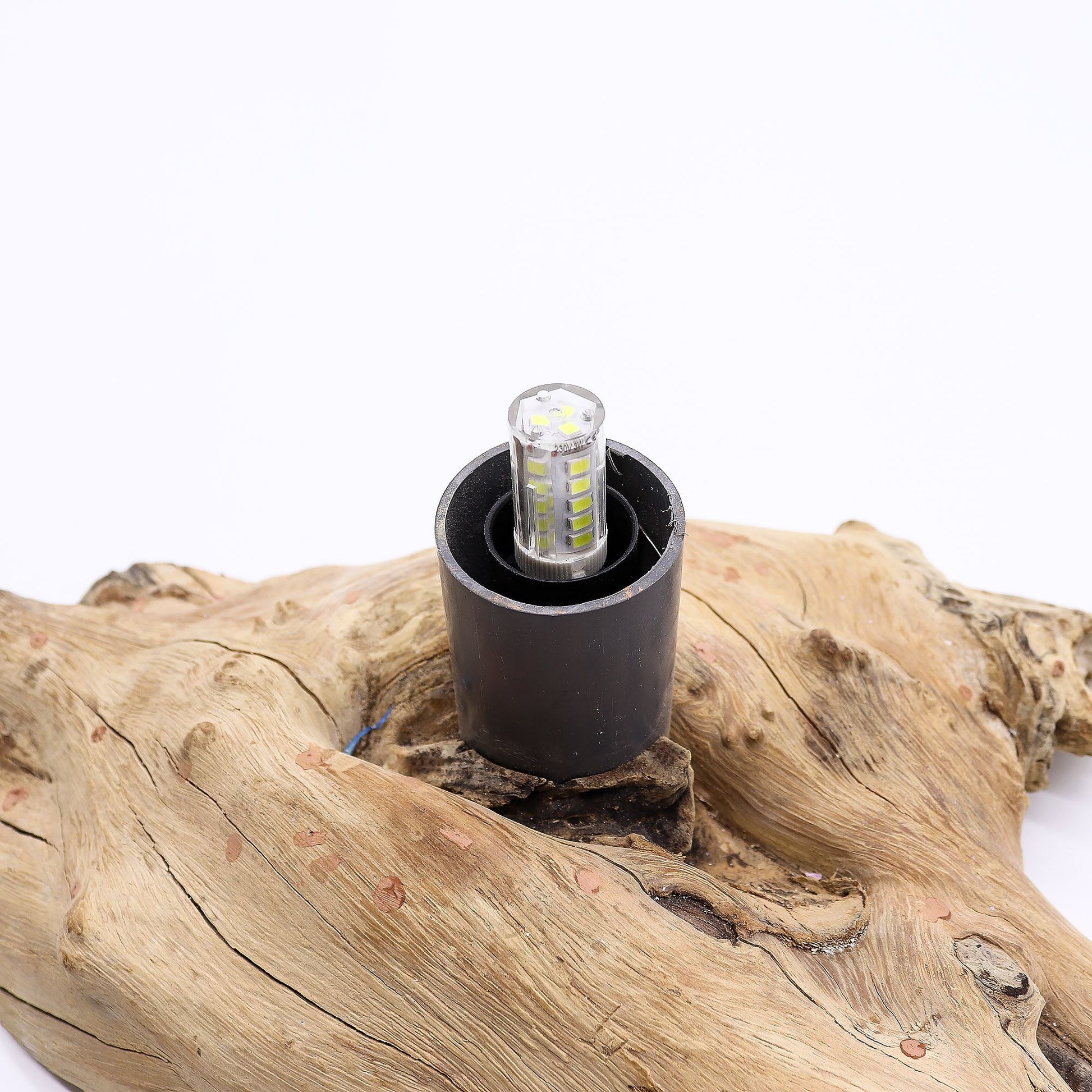 LED light bulb in a black holder on a piece of driftwood with a white background