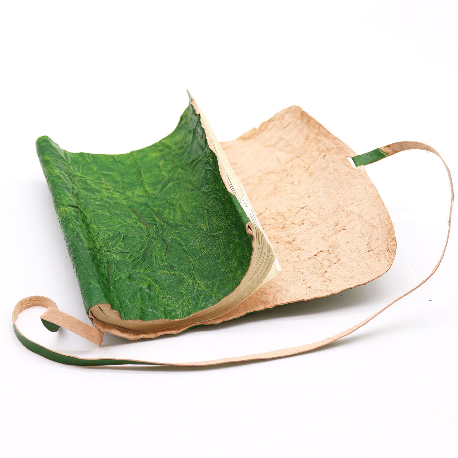 Rolled Green Leather Travel Notebook open view