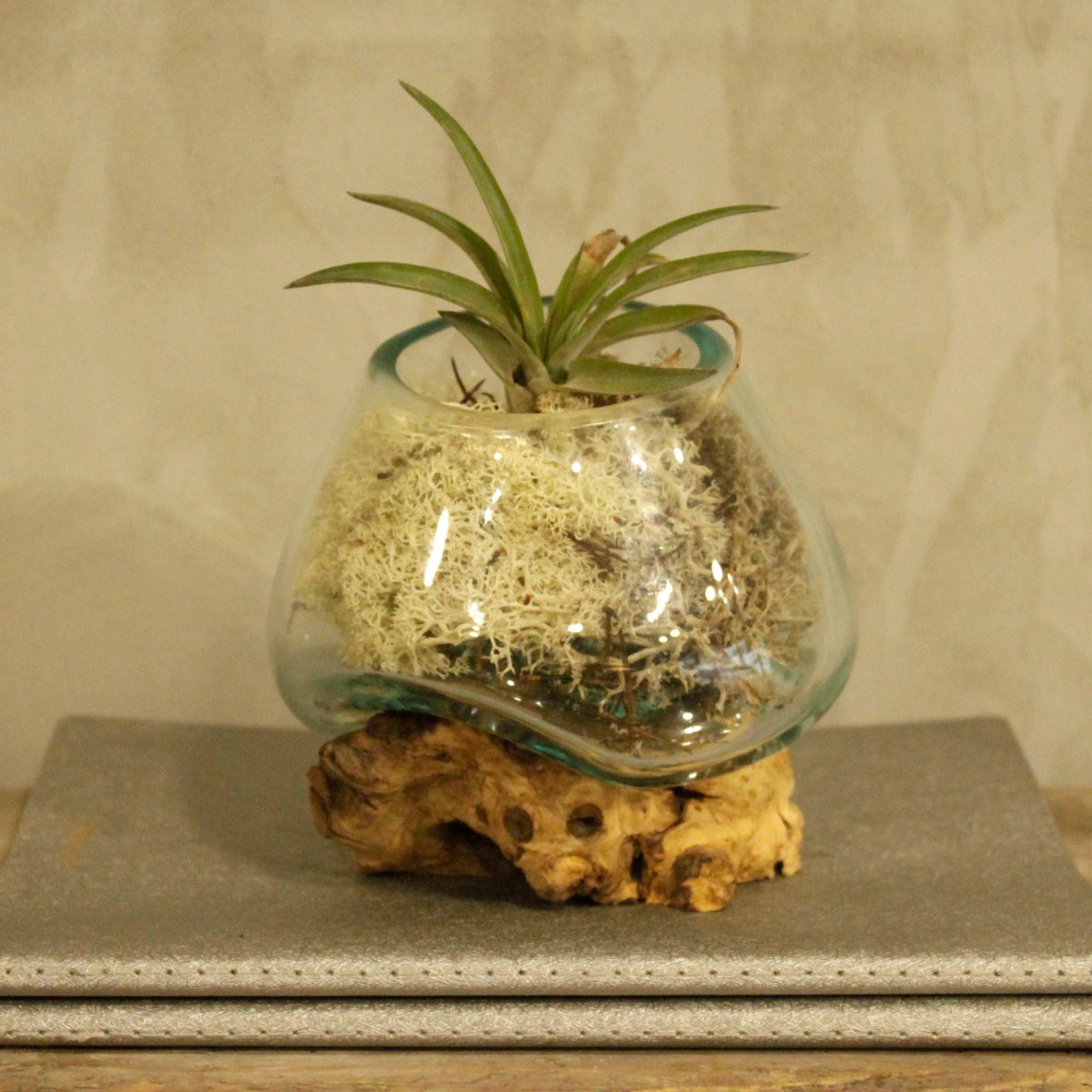 Molten glass bowl with plant on a wooden surface