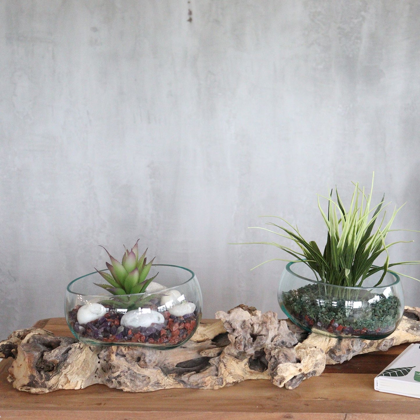 two glass bowls on gamal wood