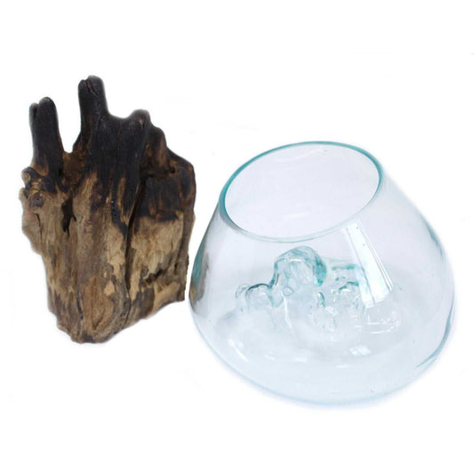 Molten Glass on Wood - Large Bowl with bowl seperated on a white background