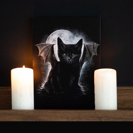 Spiral Direct Bat Cat Canvas Art - 19x25cm
